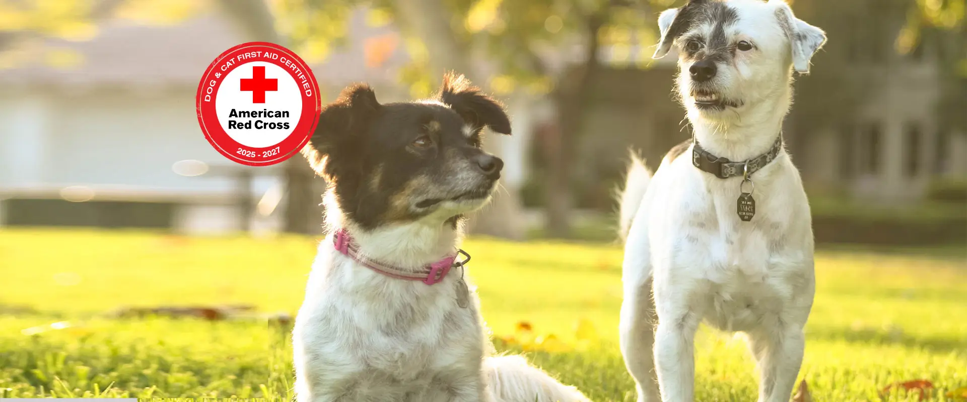 Red Cross inspired full-service pet care